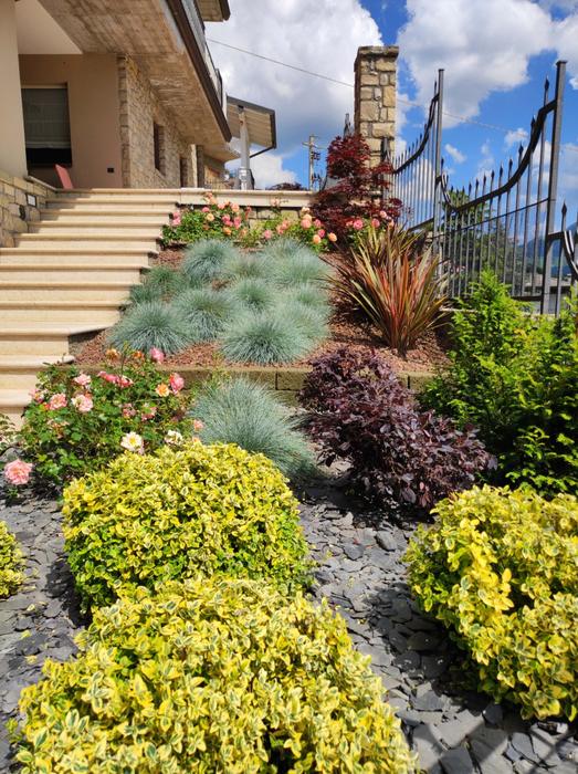 Progettazione giardino con rose e arbusti ornamentali a Brescia